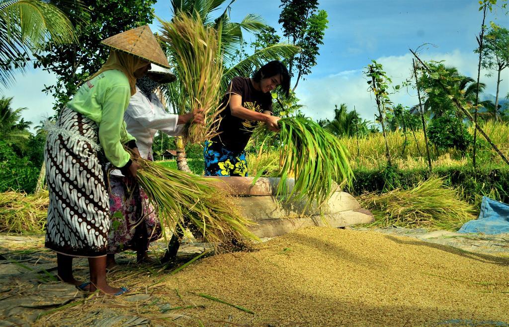 Kembang Kuning Cottages Tetebatu المظهر الخارجي الصورة