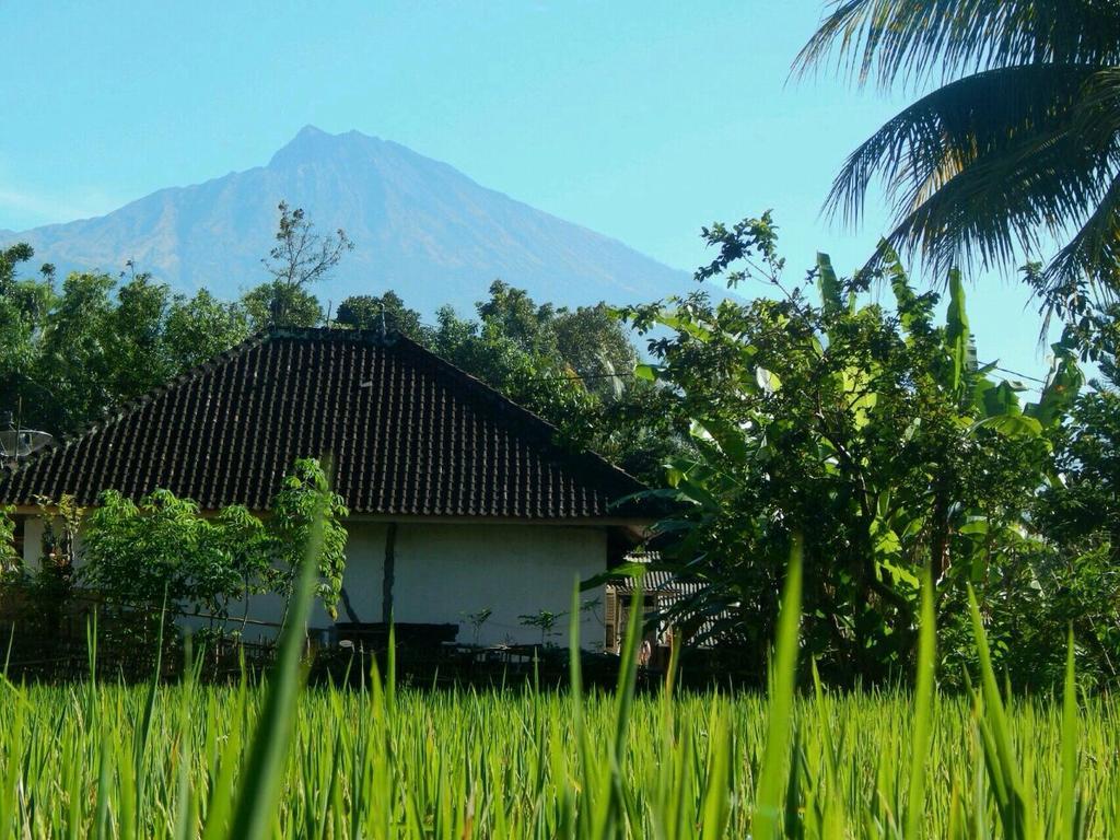 Kembang Kuning Cottages Tetebatu المظهر الخارجي الصورة