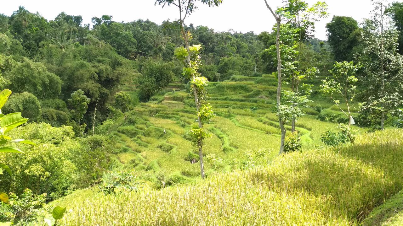 Kembang Kuning Cottages Tetebatu المظهر الخارجي الصورة